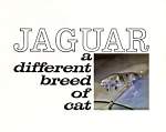 diff_breed_art_1_l.jpg